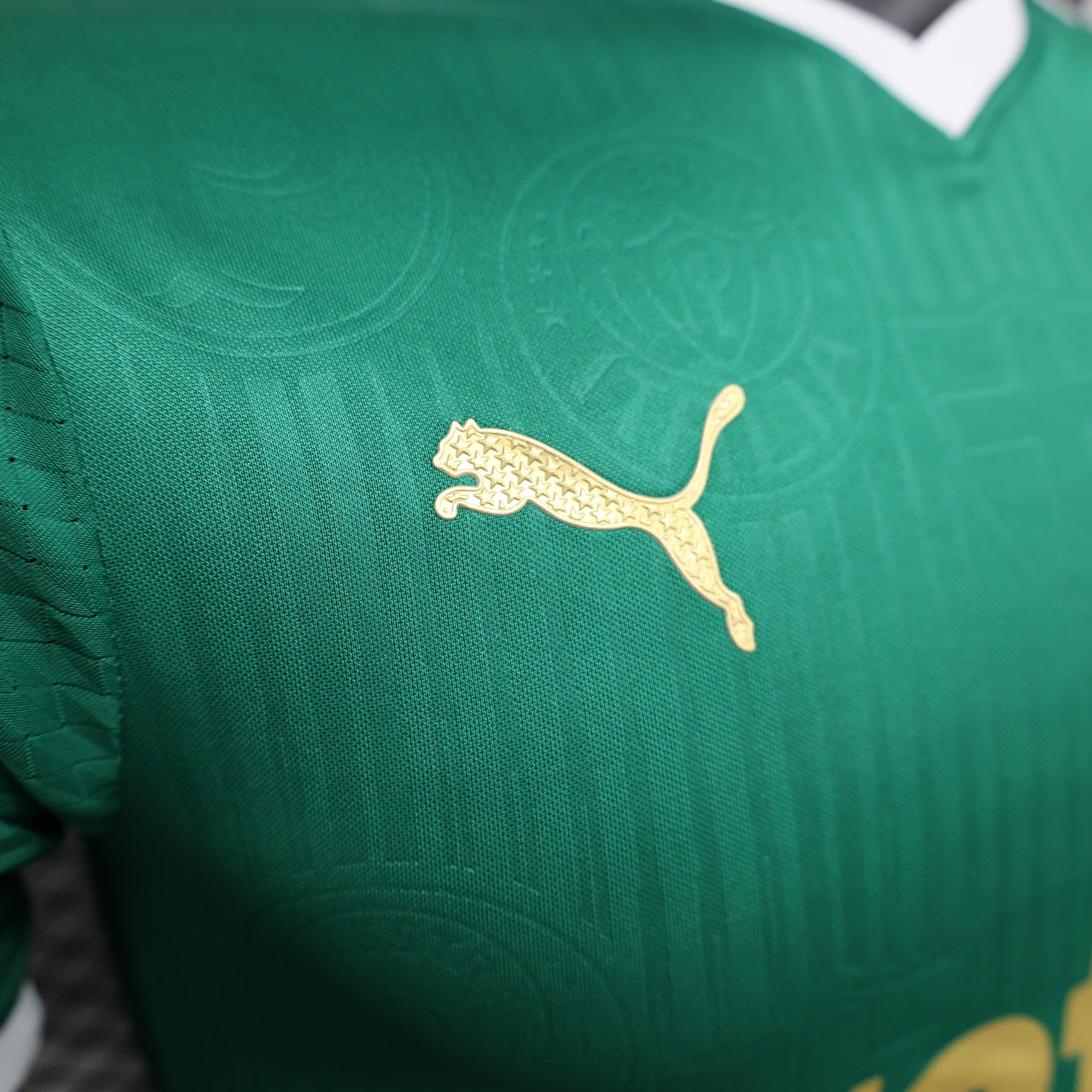PALMEIRAS AWAY JERSEY 24/25 (PLAYER VERSION)