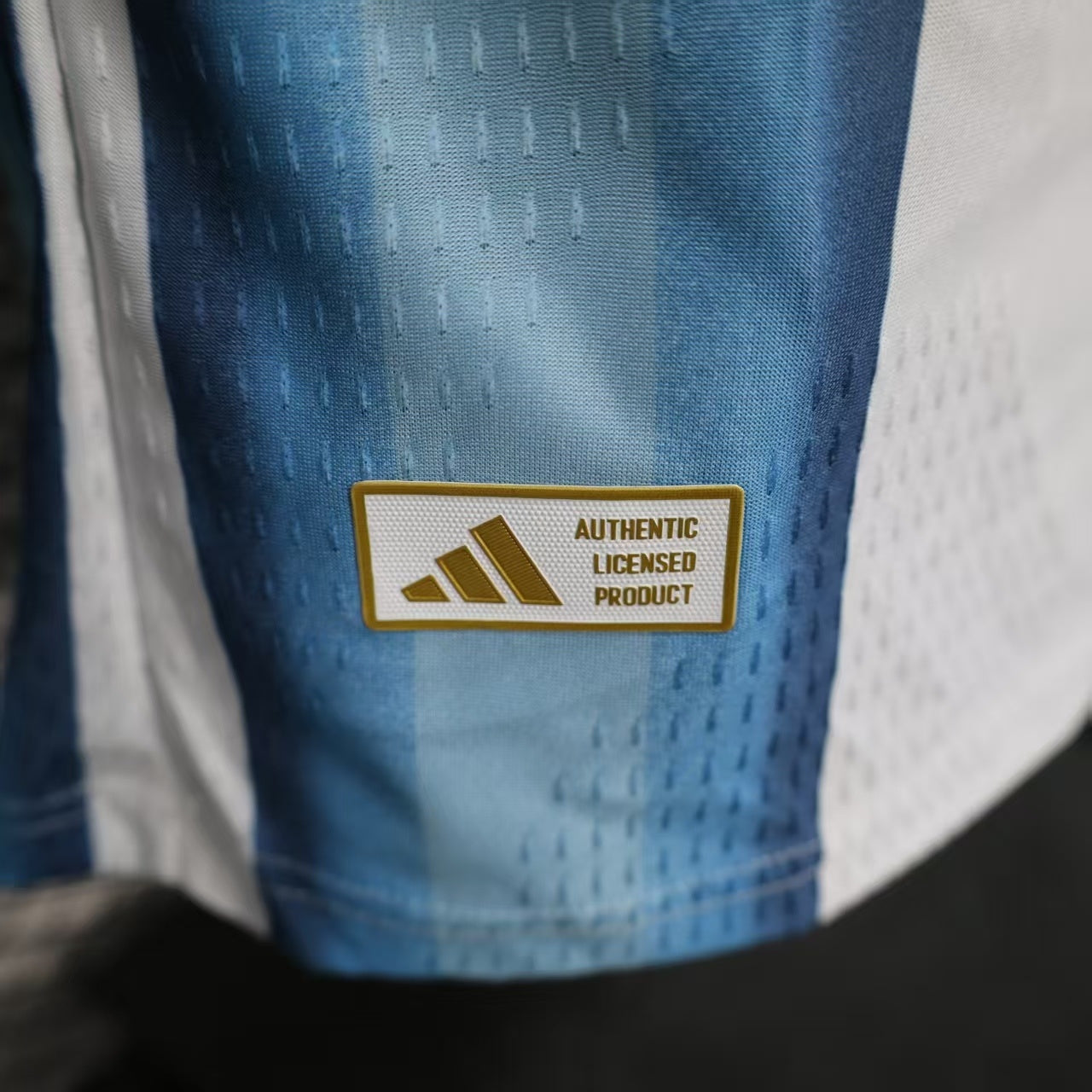 CAMISETA ARGENTINA MANGA LARGA ll MUNDIAL 2026