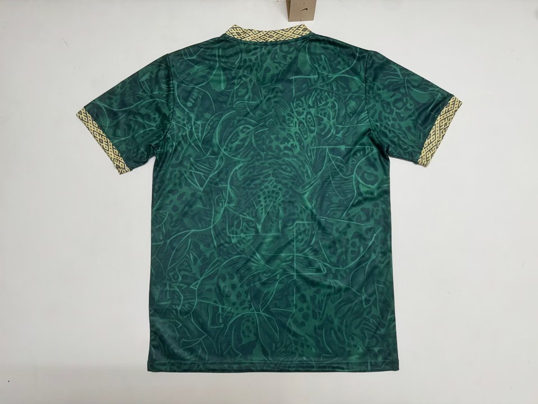 CAMISETA BRASIL DISEÑO EXCLUSIVO