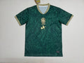CAMISETA BRASIL DISEÑO EXCLUSIVO