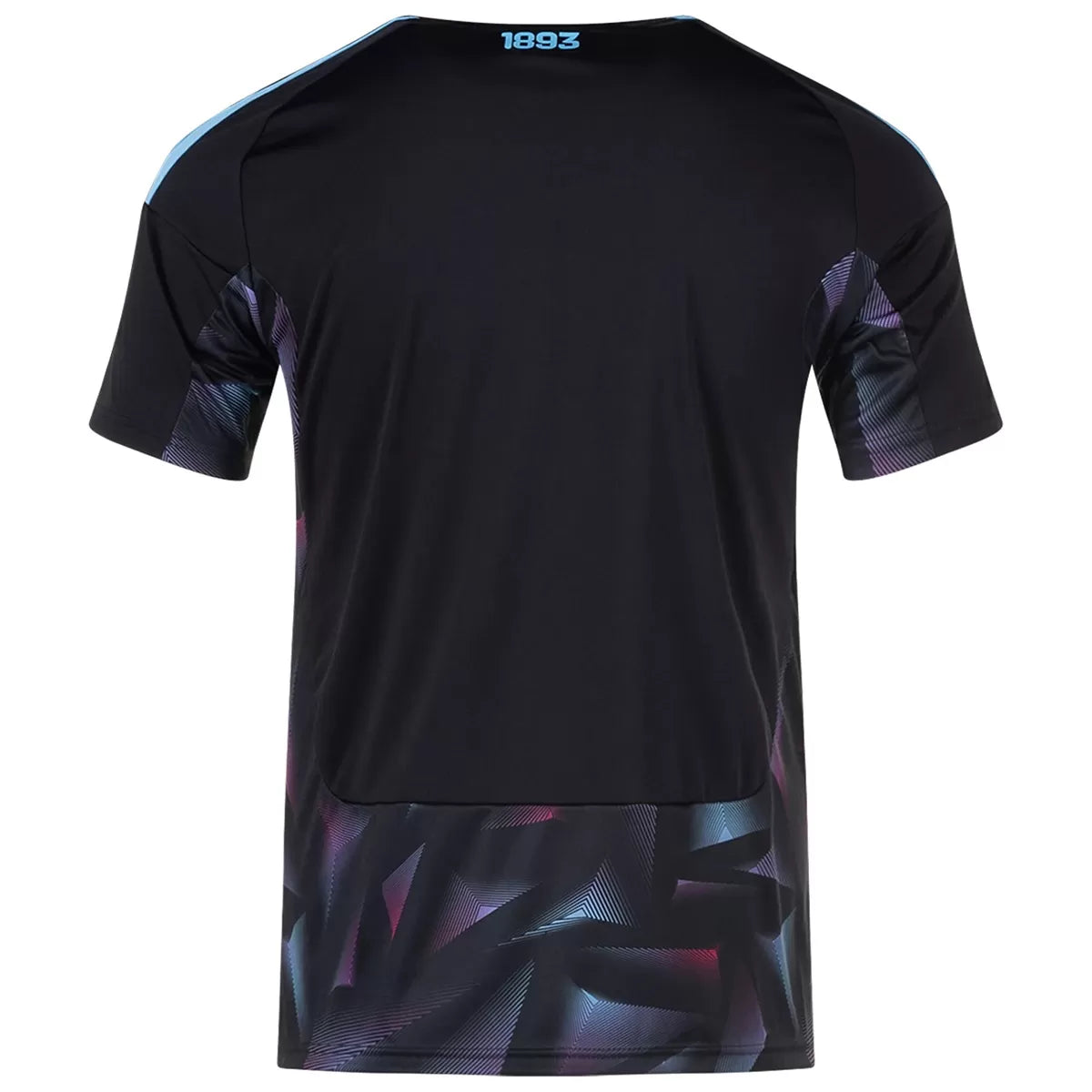 CAMISETA ARGENTINA ll GOLERO (VERSION JUGADOR)