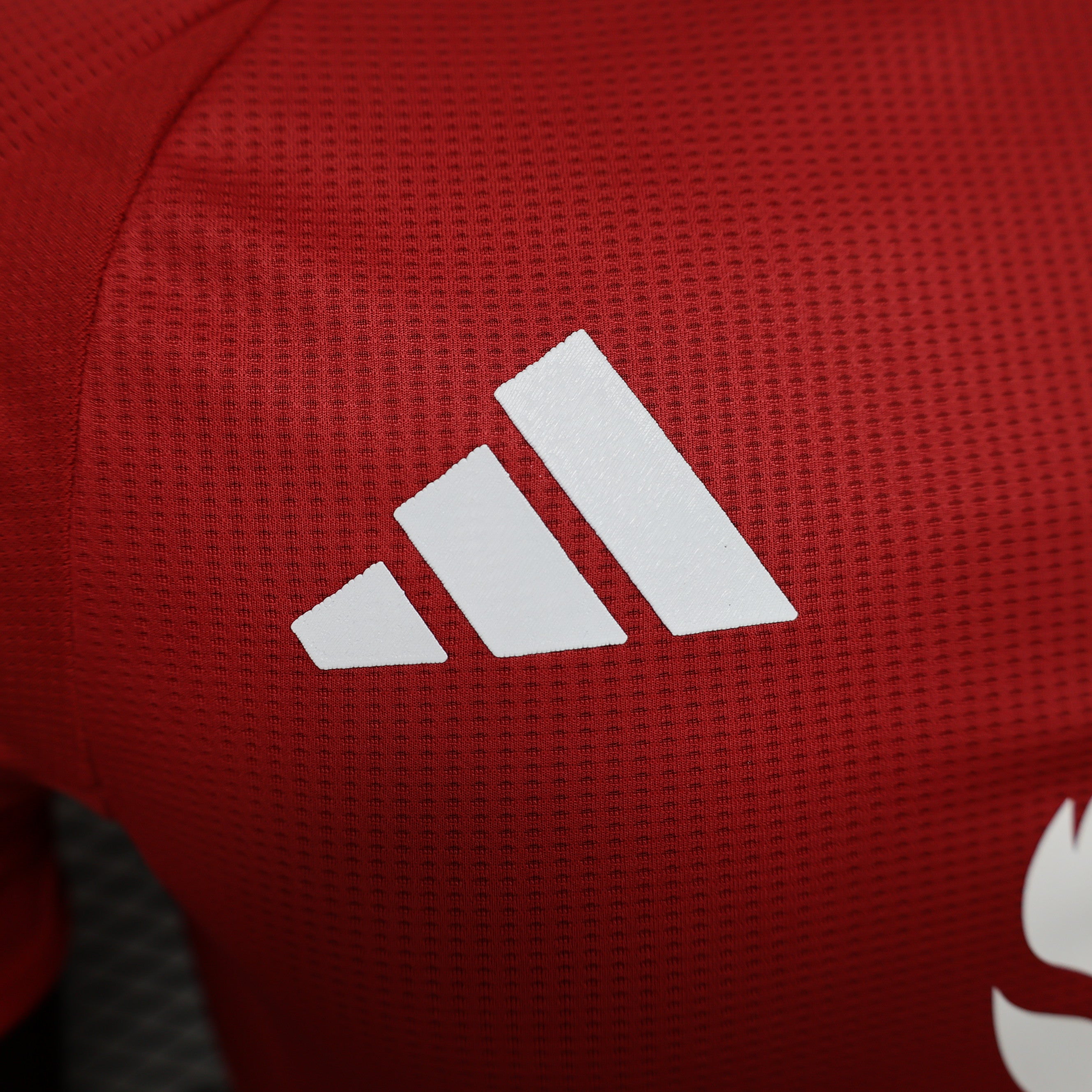 MANCHESTER UNITED JERSEY || 24/25 (PLAYER VERSION)