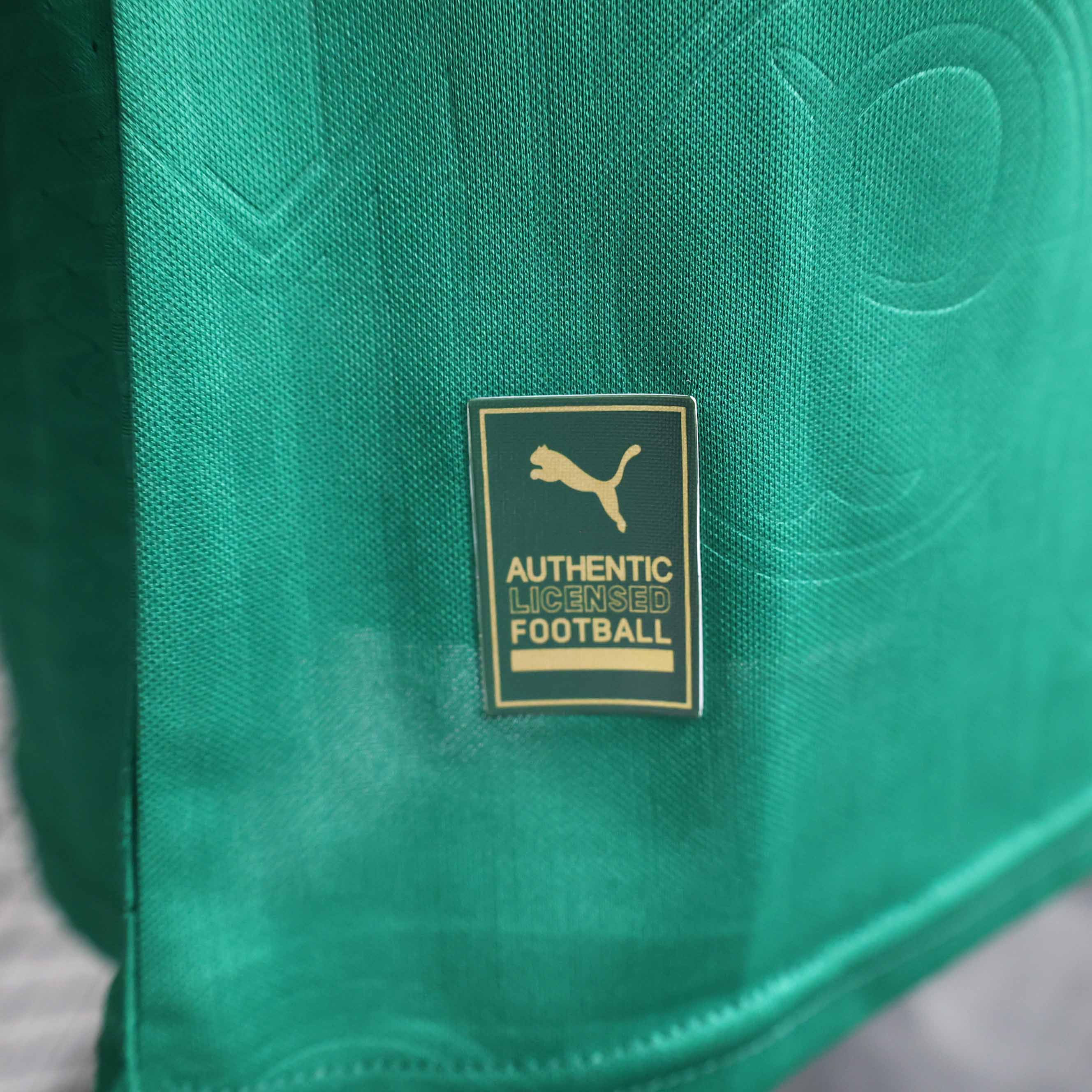 PALMEIRAS AWAY JERSEY 24/25 (PLAYER VERSION)