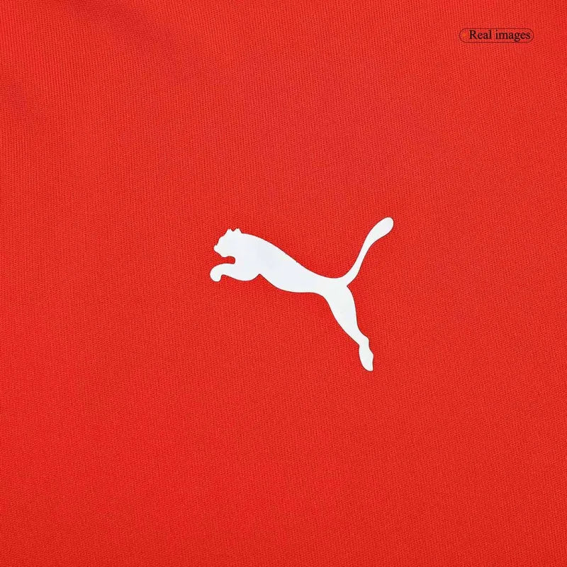 CAMISETA RETRO CHILE 2014