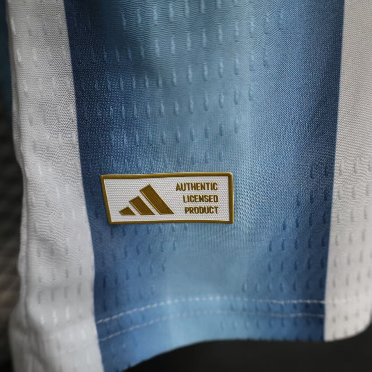 CAMISETA ARGENTINA II 2026 HOMBRE (VERSIÓN JUGADOR)