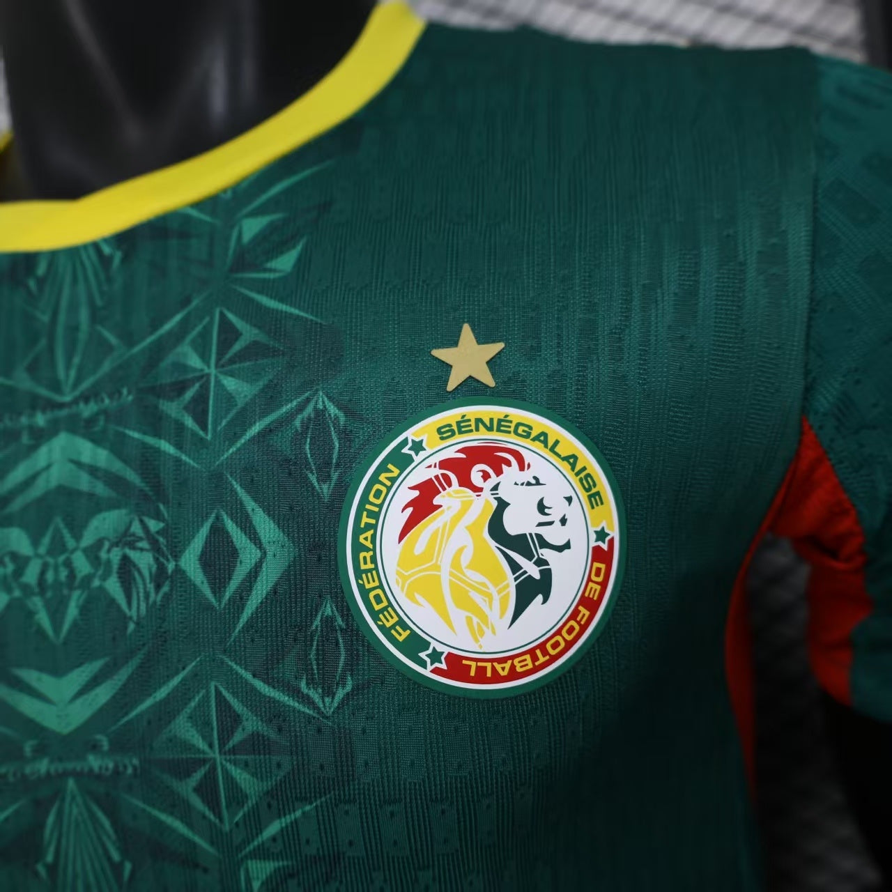 CAMISETA SENEGAL ll MUNDIAL 2026 (VERSION JUGADOR)